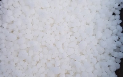 ΕΛΙΑ : ΑΣΒΈΣΤΙΟ ΚΑΙ Ο ΡΌΛΟΣ ΤΟΥ ΣΤΗ ΛΙΠΑΝΣΗ ΤΗΣ ΕΛΙΑΣ