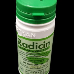 Oρμόνη ριζοβολίας Radicin 25 gr. 