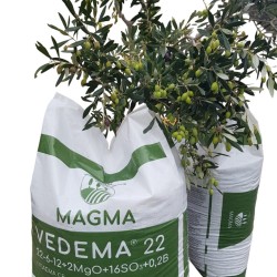 Vedema 22-6-12+ 0,2 B+2Mg+ 25 κιλών 