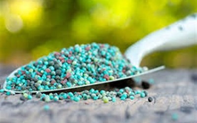 ΕΛΙΑ : ΛΙΠΑΝΣΗ ΕΛΙΑΣ ΜΕ ΣΎΝΘΕΤΑ Ή  ΑΠΛΑ ΛΙΠΆΣΜΑΤΑ?