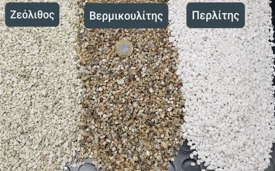 ΠΑΧΥΦΥΤΑ : ΣΩΣΤΟ ΥΠΌΣΤΡΩΜΑ ΠΧΥΦΥΤΩΝ ΓΕΝΙΚΟΙ ΚΑΝΌΝΕΣ