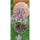 Euphorbia "lactea cristata εμβολιασμένο " (coral cactus )12 