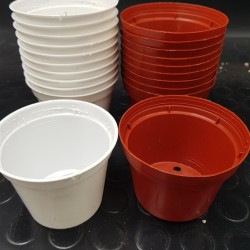 Γλαστράκι φυτωρίου  No 8,5  ( Σετ 20 τεμαχια )