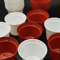 Γλαστράκι φυτωρίου  No 8,5  ( Σετ 20 τεμαχια )