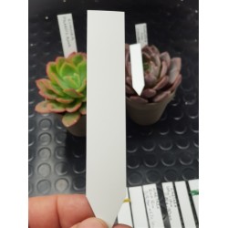Ταμπέλακι σήμανσης φυτών μικρό ( 1,6cm  Χ 10cm)   10 TEM.