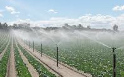 ΠΑΧΥΦΥΤΑ : ΠΟΤΙΣΜΑ ΣΕ ΣΥΝΘΗΚΕΣ ΑΚΡΑΙΩΝ ΘΕΡΜΟΚΡΑΣΙΩΝ ( ΚΑΥΣΩΝΑ )