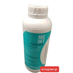 MC SET ( ΒΟΡΙΟ -ΨΕΥΔΑΡΓΥΡΟΣ )1 LIT  