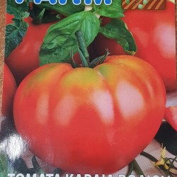 ΤΟΜΑΤΑ " ΚΑΡΔΙΑ ΒΟΔΙΟΥ CUORE DI BUE " 