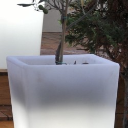 ΓΛΑΣΤΡΕΣ ΦΩΤΙΖΟΜΕΝΕΣ