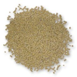 Σύνθετη Πλήρης Ζωοτροφή Όρνιθων Ωοτοκίας