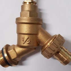 ΒΡΥΣΗ ΟΡΕΙΧΑΛΚΙΝΗ