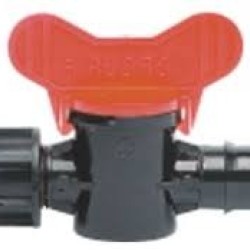 ΒΑΝΑΚΙ ΠΙΠΕΤΑ-ΦΙΣ