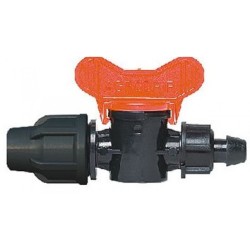 ΒΑΝΑΚΙ ΠΙΠΕΤΑ -ΡΑΚΟΡ