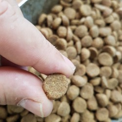 PICO KENNER  -ΤΡΟΦΗ    ΓΙΑ ΕΝΗΛΙΚΑ ΣΚΥΛΙΑ  (ΣΑΚΙ 20 ΚΙΛΩΝ )