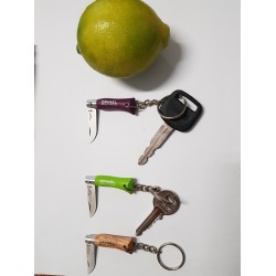 ΜΑΧΑΙΡΙ OPINEL ΜΠΡΕΛΟΚ