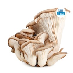 ΜΑΝΙΤΑΡΙΑ PLEUROTUS