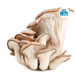 ΜΑΝΙΤΑΡΙΑ PLEUROTUS