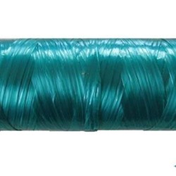 ΣΠΑΓΓΟΣ ΓΕΝΙΚΗΣ ΧΡΗΣΗΣ ΠΕΠΛΑΤΙΣΜΕΝΟΣ 500 ΓΡ