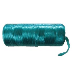 ΣΠΑΓΓΟΣ ΓΕΝΙΚΗΣ ΧΡΗΣΗΣ ΠΕΠΛΑΤΙΣΜΕΝΟΣ 500 ΓΡ