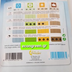 ΦΑΣΟΛΙ ΜΠΟΥΡΛΟΤΟ ΑΝΑΡ/ΧΩΜΕΝΟ