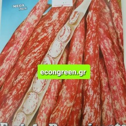 ΦΑΣΟΛΙ ΜΠΟΥΡΛΟΤΟ ΑΝΑΡ/ΧΩΜΕΝΟ