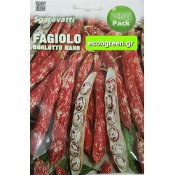 ΦΑΣΟΛΙ ΜΠΟΥΡΛΟΤΟ ΝΑΝΟ