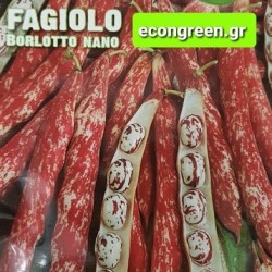 ΦΑΣΟΛΙ ΜΠΟΥΡΛΟΤΟ ΝΑΝΟ