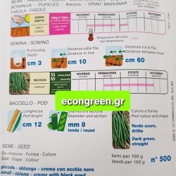 ΦΑΣΟΛΙ ΜΠΟΥΡΛΟΤΟ ΝΑΝΟ