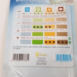 ΦΑΣΟΛΙ ΑΜΠΕΛΟΦΑΣΟΥΛΟ ΤΟΥ ΜΕΤΡΟΥ