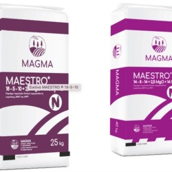 MAESTRO ® 18-5-10 + MgO + SO 3 + B + Zn, σακί 25 κιλων MAESTRO ® 18-5-10 + MgO + SO 3 + B + Zn, σακί 25 κιλων