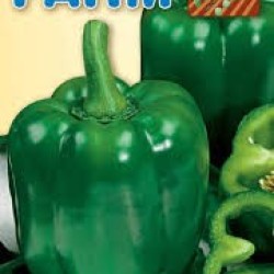 ΠΙΠΕΡΙΑ ΠΡΑΣΙΝΗ ΦΛΑΣΚΑ  ΦΑΚΕΛΟΣ FARM