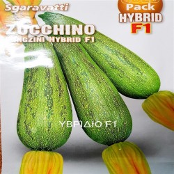 ΚΟΛΟΚΥΘΙ GRIZINI F1 ΥΒΡΙΔΙΟ