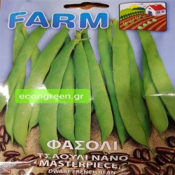 ΦΑΣΟΛΙ ΤΣΑΟΥΛΙ ΝΑΝΟ