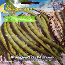 ΦΑΣΟΛΙ  ΑΜΠΕΛΟΦΑΣΟΥΛΟ