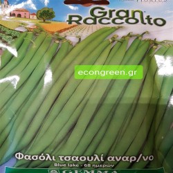 ΦΑΣΟΛΙ ΤΣΑΟΥΛΙ ΑΝΑΡΥΓΧΟΜΕΝΟ