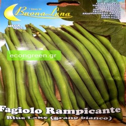 ΦΑΣΟΛΙ ΤΣΑΟΥΛΙ ΑΝΑΡΥΓΧΟΜΕΝΟ