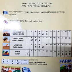 ΣΕΛΕΡΙ .