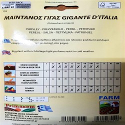 ΜΑΪΝΤΑΝΟΣ ΓΙΓΑΣ