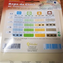 ΒΡΟΥΒΑ (RAPA DA CIMA) ΦΑΚΕΛΟΣ  MEGA PACK