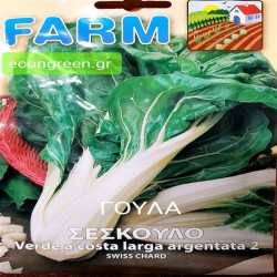 ΣΕΣΚΟΥΛΟ ( ΓΟΥΛΑ ) VERDE A COSTA LARGA ARGENTATA 2