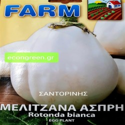 ΜΕΛΙΤΖΑΝΑ ΦΛΑΣΚΑ ΑΣΠΡΗ ROTONDA BIANCA