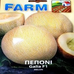 ΠΕΠΟΝΙ GALIA F1 ΥΒΡΙΔΙΟ  ΦΑΚΕΛΟΣ FARM