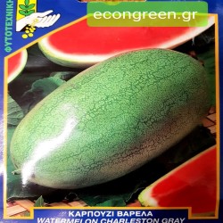 ΚΑΡΠΟΥΖΙ ΒΑΡΕΛΑ  CHARLRSTON GRAY