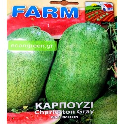 ΚΑΡΠΟΥΖΙ ΒΑΡΕΛΑ CHARLESTON GRAY  ΤΥΠΟΥ ΠΑΝΟΡΜΟΥ