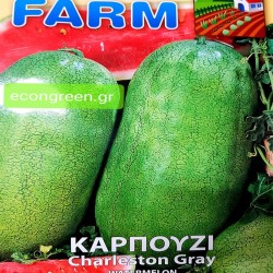 ΚΑΡΠΟΥΖΙ ΒΑΡΕΛΑ CHARLESTON GRAY  ΤΥΠΟΥ ΠΑΝΟΡΜΟΥ