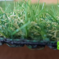 ΣΥΝΘΕΤΙΚΟΣ ( ΠΛΑΣΤΙΚΟΣ ) ΧΛΟΟΤΑΠΙΤΑΣ VIVA 20 mm