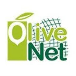 ΚΡΗΤΙΚΑ ΔΙΧΤΥΑ ΕΛΑΙΟΣΥΛΛΟΓΗΣ 90 ΓΡ / Τ.Μ. OLIVE NEΤ ECO