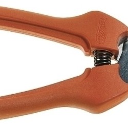 ΨΑΛΙΔΙ ΤΡΥΓΟΥ (BACHO)