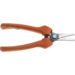 ΨΑΛΙΔΙ ΤΡΥΓΟΥ (BACHO)