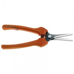 ΨΑΛΙΔΙ ΤΡΥΓΟΥ (BACHO)